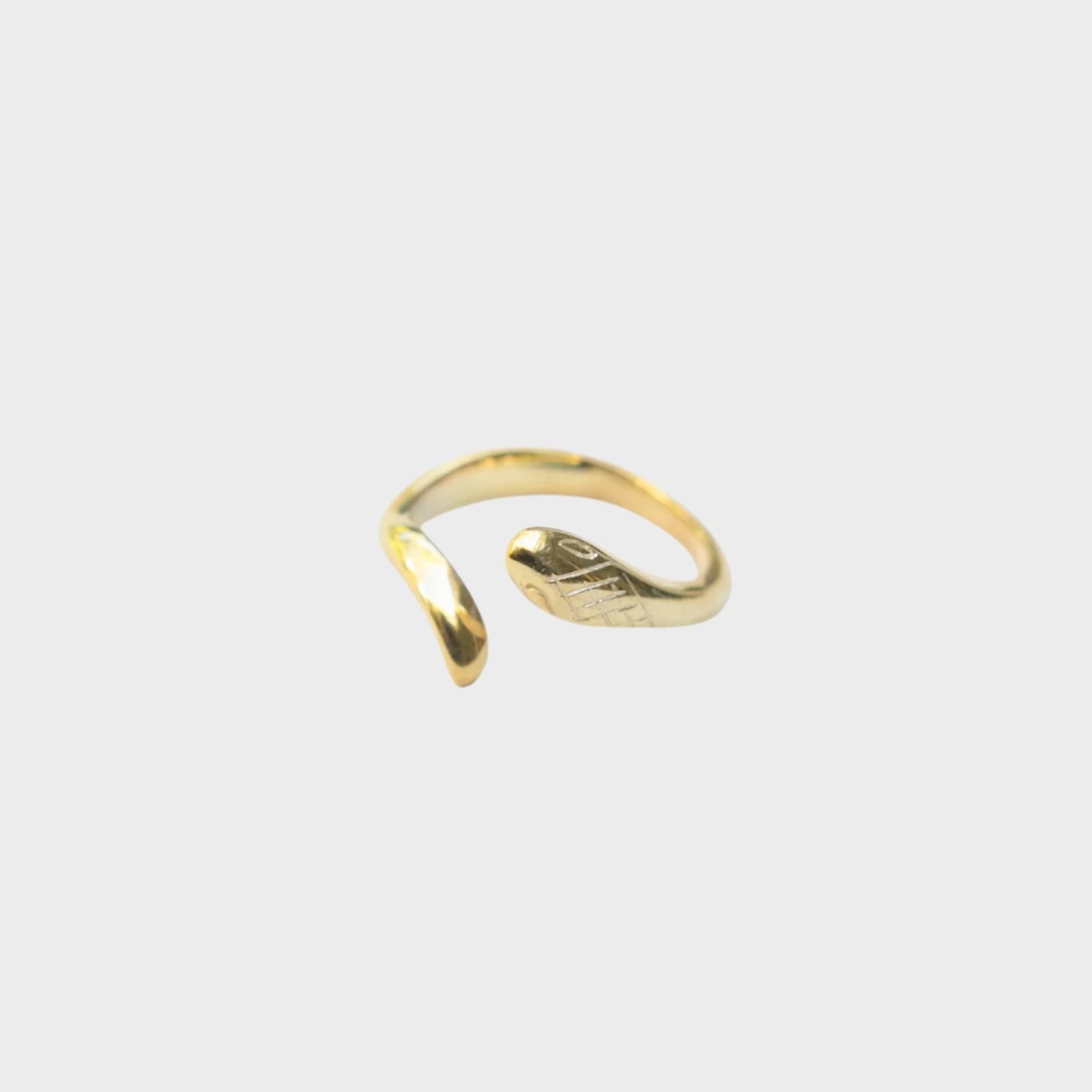Anillo de serpiente
